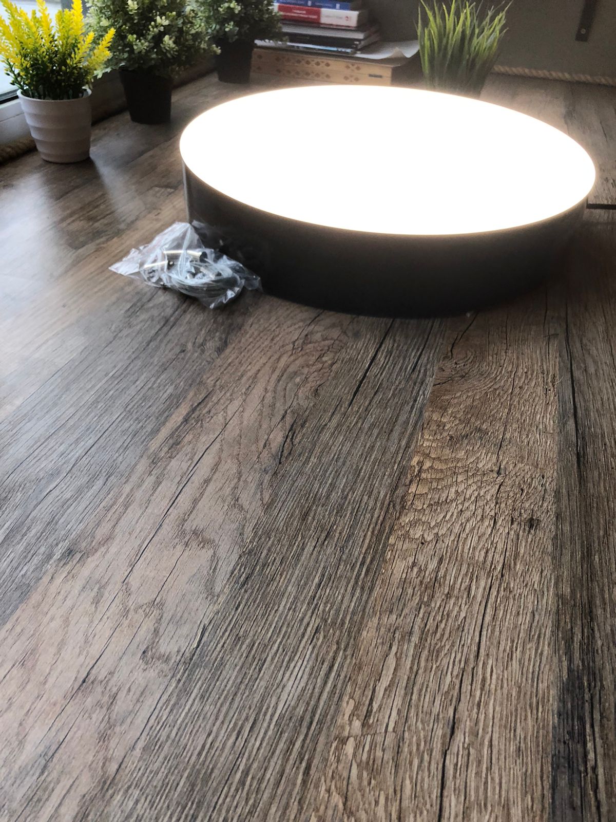 DariLight BROWNIE R-CIRCLE-PL
