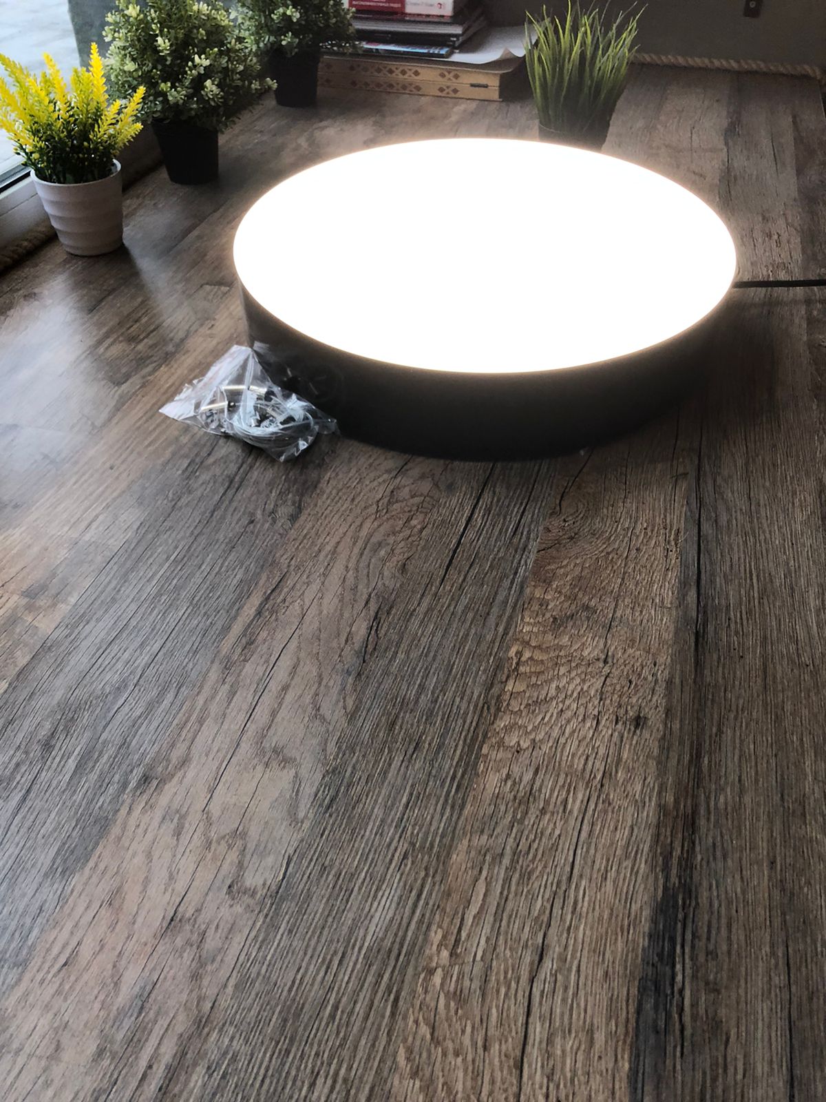 DariLight BROWNIE R-CIRCLE-PL