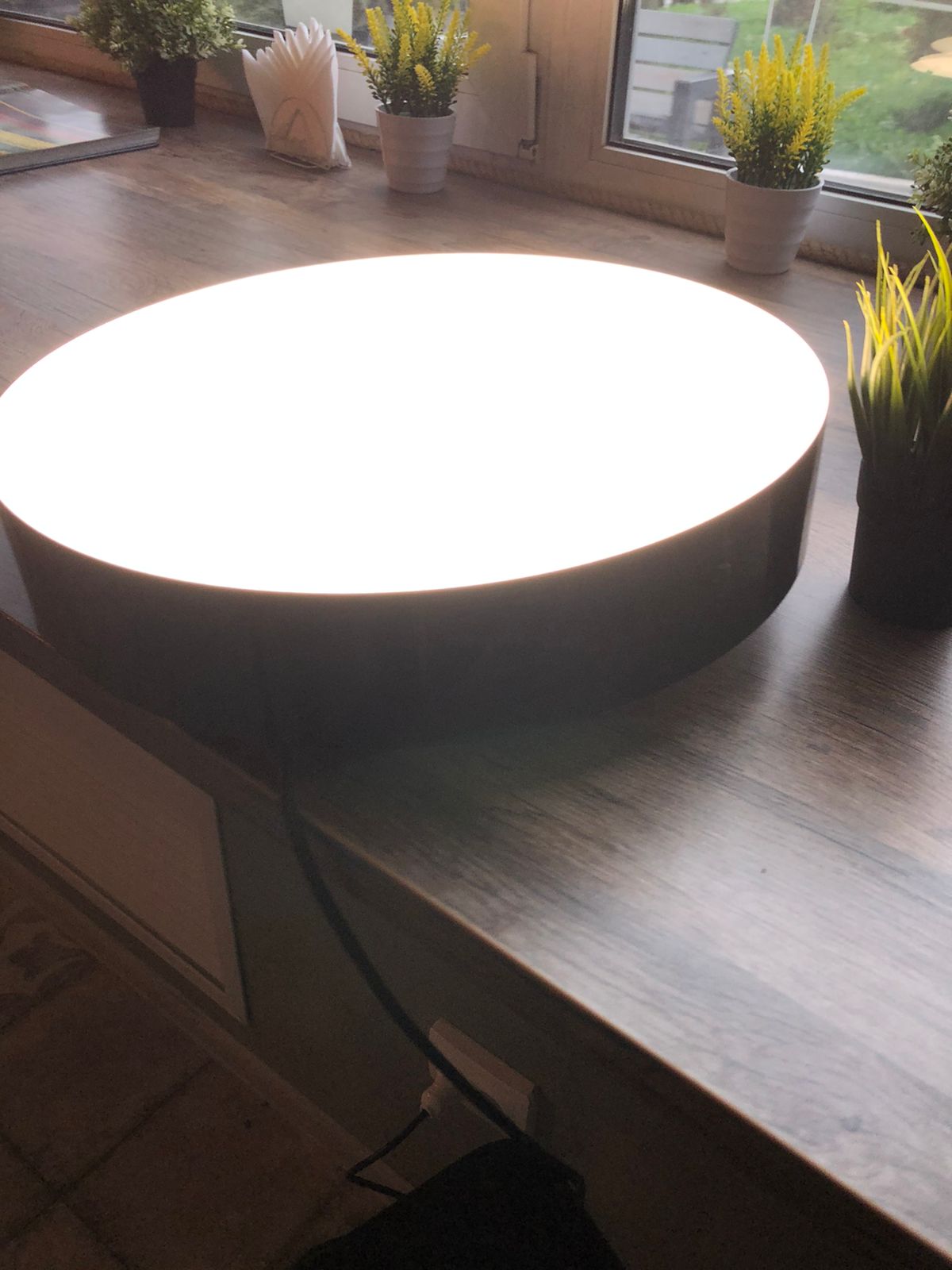 DariLight BROWNIE R-CIRCLE-PL