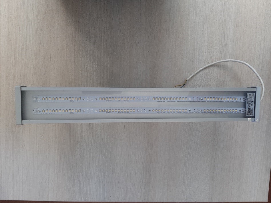LEDHIT prom pro